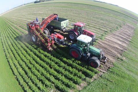 Ein Traktor fährt über ein grün blühendes Feld. Das Bild ist mit einer Fish Eye Kamera aufgenommen.